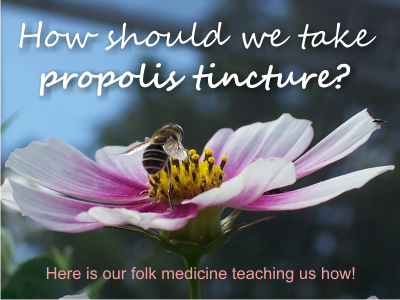 folk medicine on how to take propolis