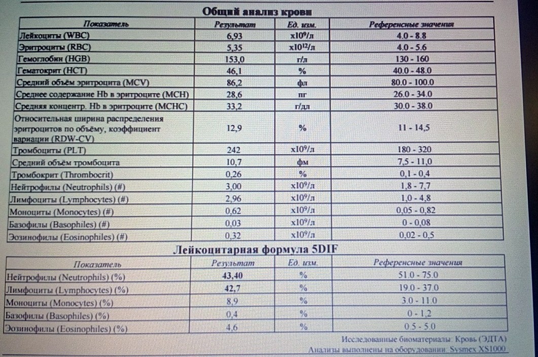 Общий анализ крови фото результата