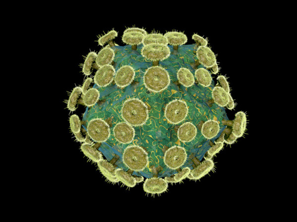 Вирус иммунодефицита