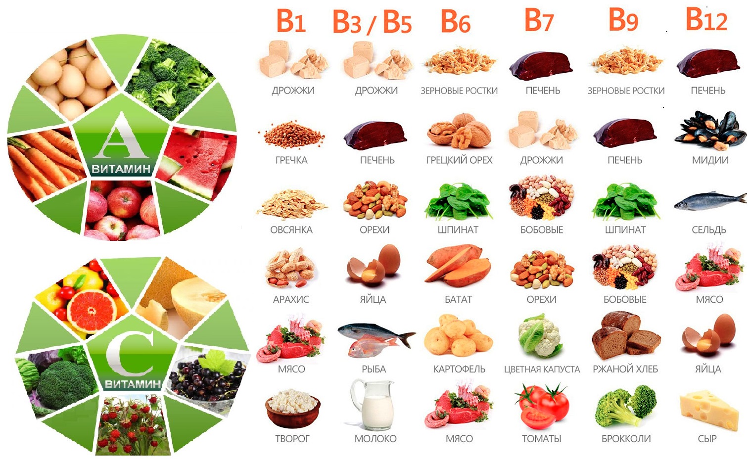 Что входит в витамин б