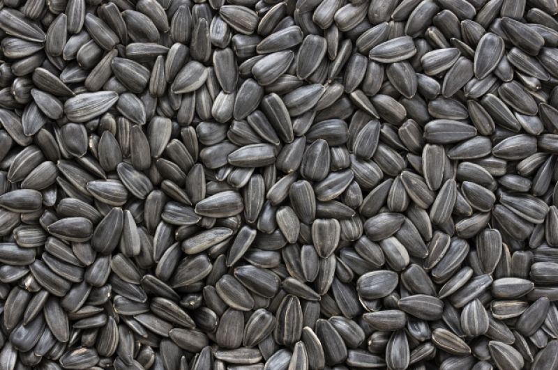 Семечки. В семенах подсолнечника содержится 578 Ккал, а в тыквенных «всего» 556. Это все относится к не соленым семечкам.