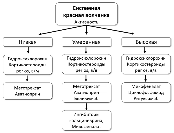 Системная красная волчанка лечение. Системная красная волчанка патогенез клиника. Схема лечения системной красной волчанки. Системная красная волчанка этиология патогенез клиника. Системная красная волчанка схема.