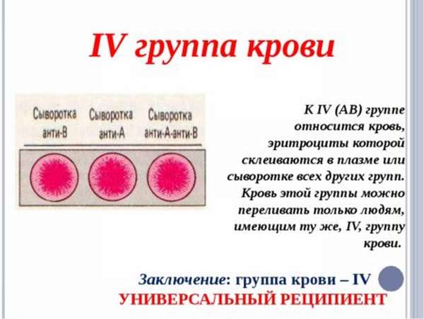 Какую группу крови причисляют к королевской, характеристика людей с голубой кровью