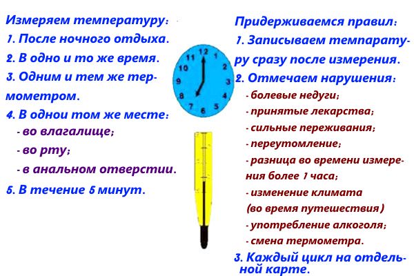 Правила проведения измерения базальной температуры