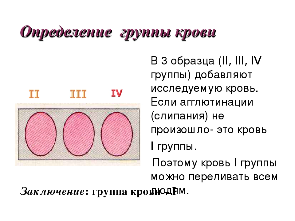 Группа как пишется. Группа крови заключение. Группа крови пример. Группа крови образец. Группы крови вывод.