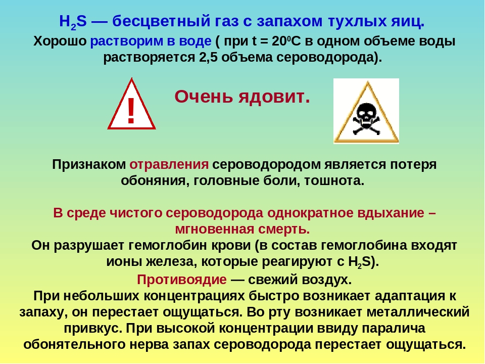 Почему пахнет тухлым. Запах тухлых яиц ГАЗЫ. Сероводород запах тухлых яиц. ГАЗ С запахом тухлых яиц. Почему ГАЗ пахнет тухлыми яйцами.