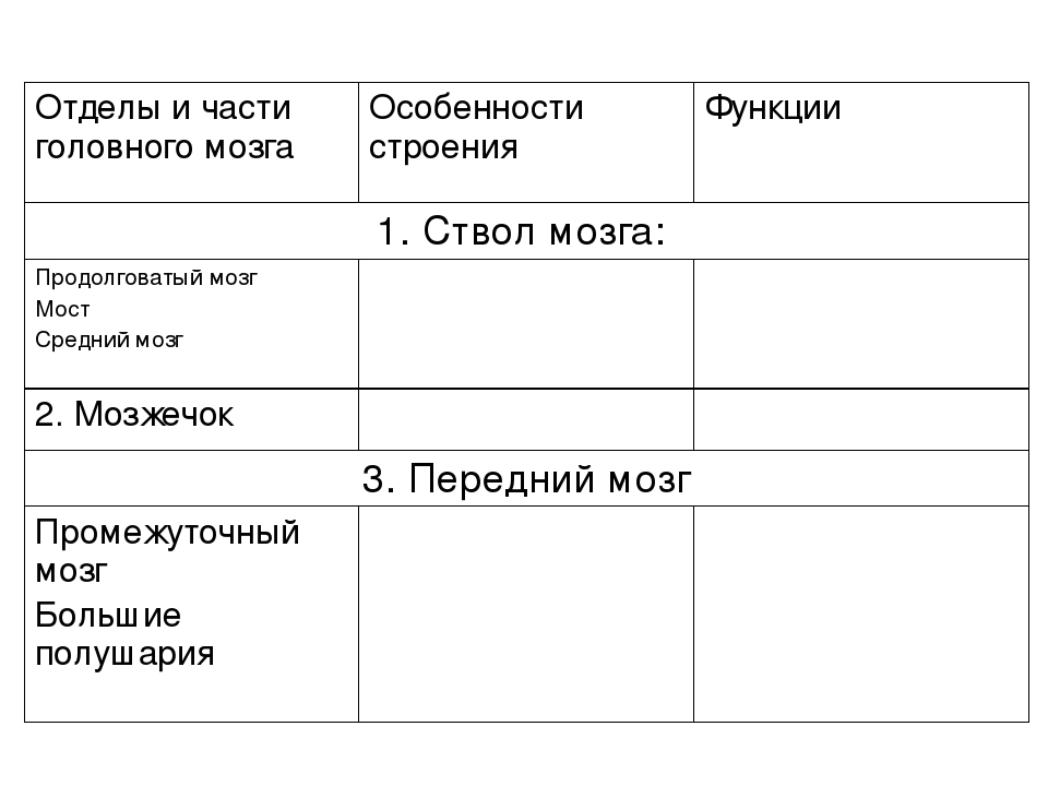 Отделы мозга и их функции таблица. Функции отделов ствола головного мозга. Отдел головного мозга строение функции таблица 8 класс. Отделы и части головного мозга особенности строения функции таблица. Ствол мозга строение и функции таблица.