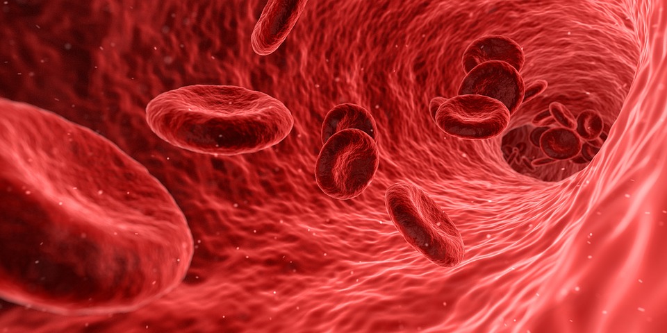 кровь под микроскопом
