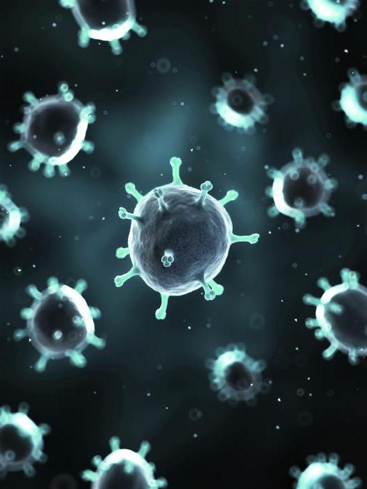 как отличить отравление от ротавируса