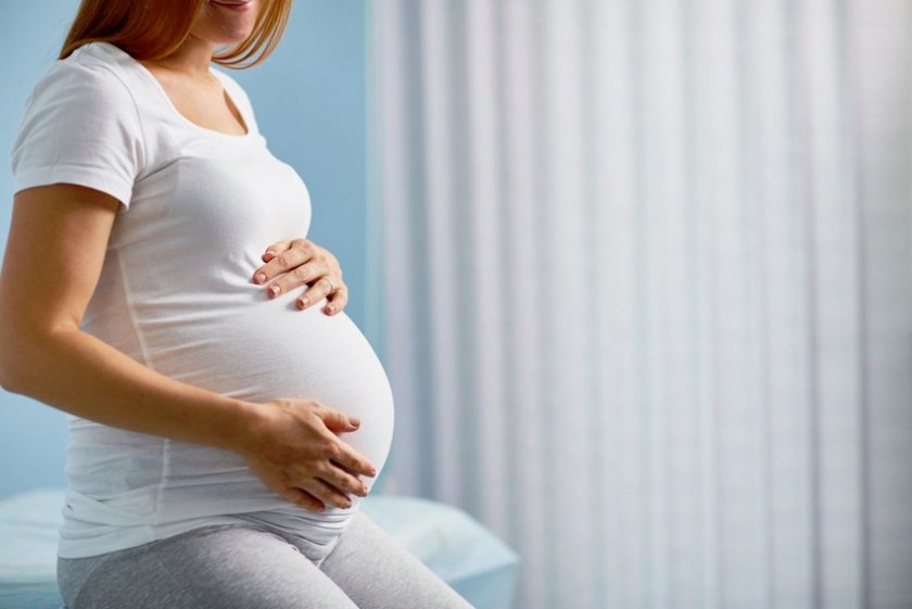 Перга при беременности