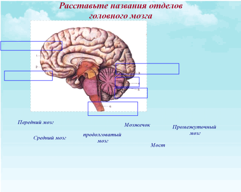 C:\Documents and Settings\test\Рабочий стол\5.bmp