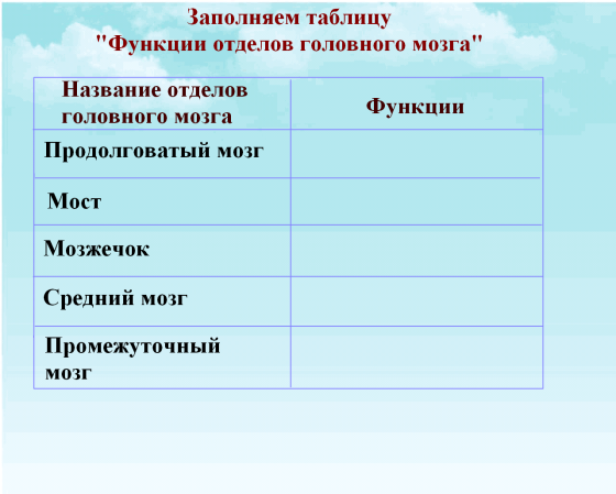 C:\Documents and Settings\test\Рабочий стол\р.bmp