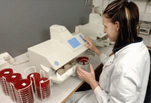 Бактериологический анализ кала