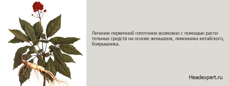 Лечение низкого. Народные средства от гипотонии. Растительные препараты при гипотензии. Лечение народным способом гипотонии. Гипотония народные способы.