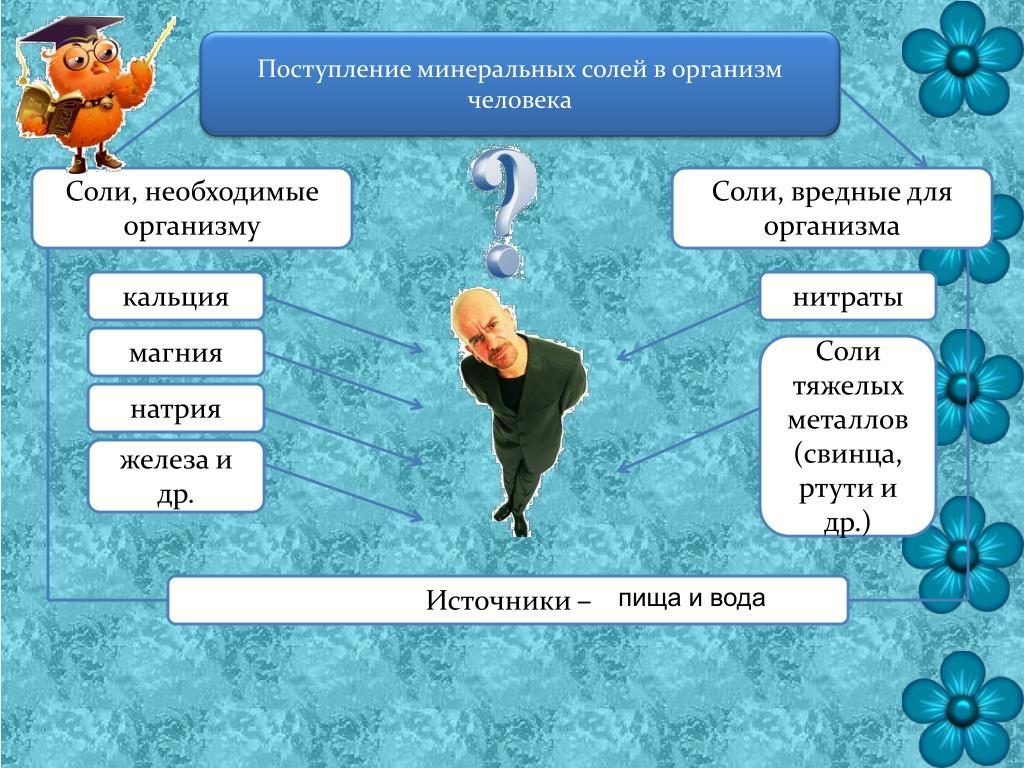 Соль в больших количествах в организме. Минеральные соли в оргае. Соль в организме человека. Минеральные соли в организме человека. Необходимые Минеральные соли для человека.