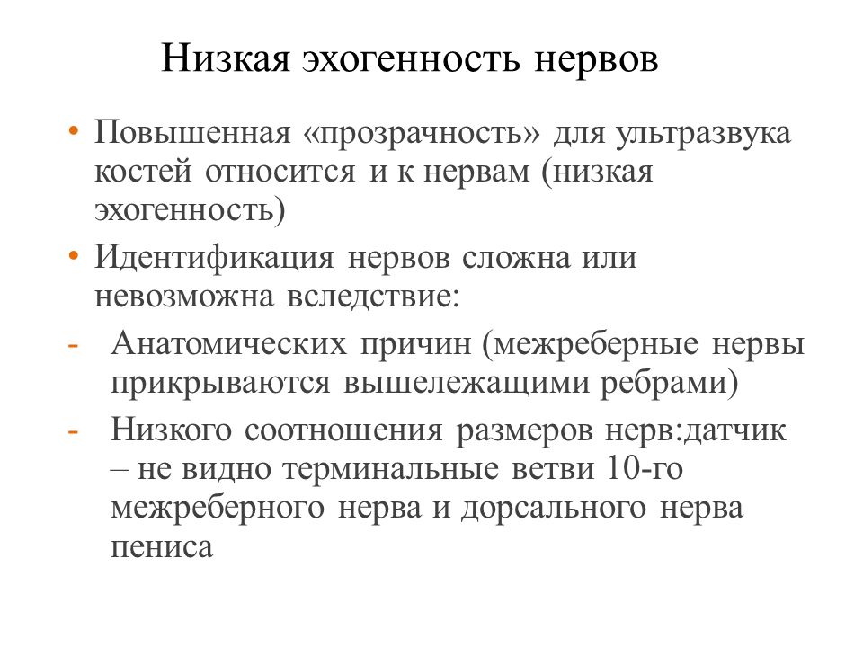 Эхогенность повышена что это