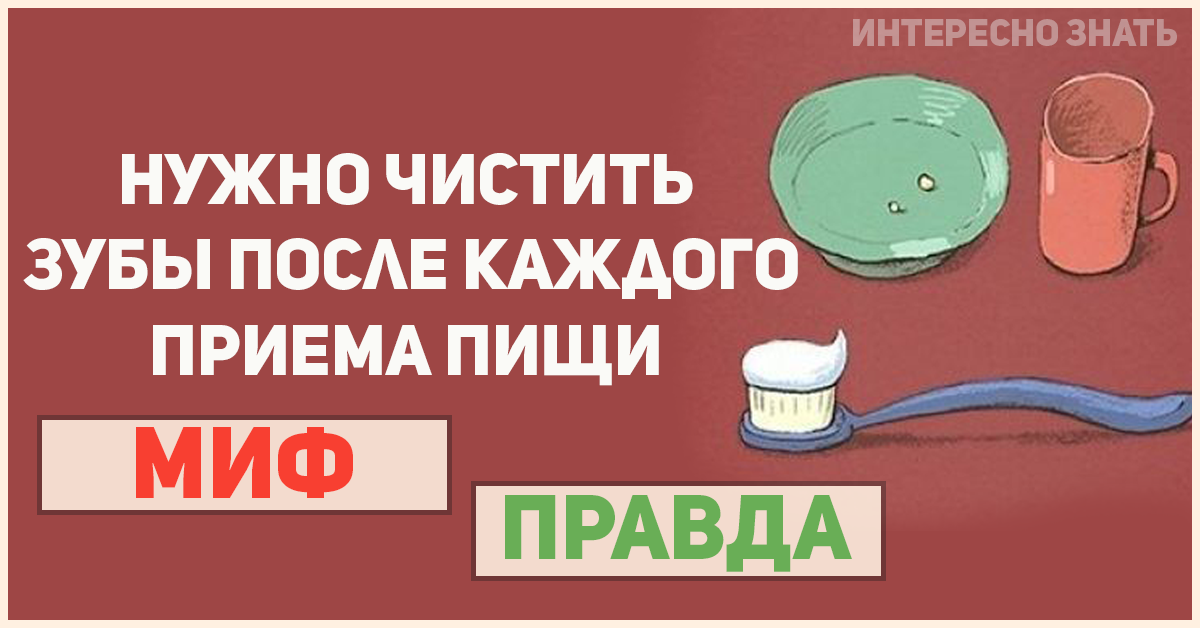 После каждого приема. Чистка зубов после каждого приема пищи. Страшная правда о еде. Миф или правда логотип. Чистка зубов после каждого приема пищи фон.