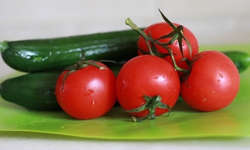 Свежие огурцы и помидоры при панкреатите допустимо включать в лечебную диету в период ремиссии