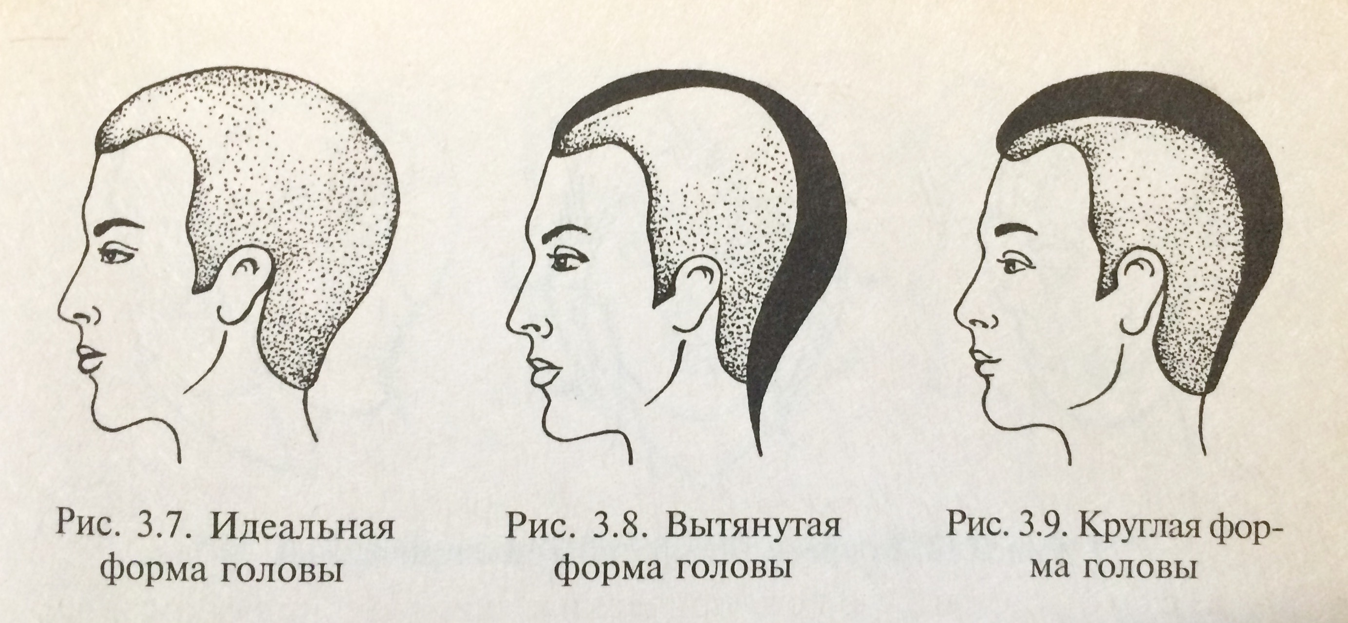 Объем прическа форма головы
