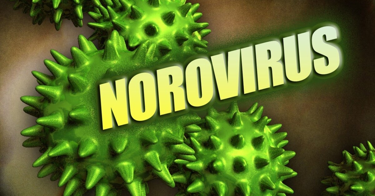 Норовирус что это такое