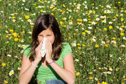 Аллергия - причина желтых соплей