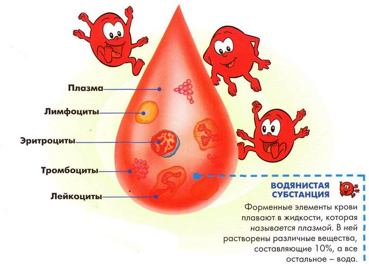 формула-крови
