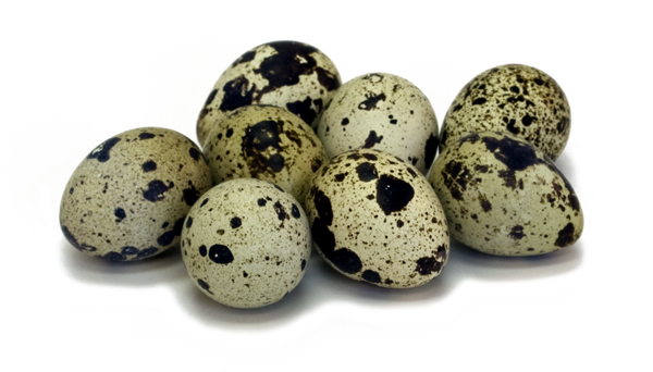 Сырые перепелиные яйца при панкреатите