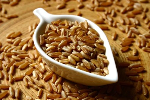 зернах есть большой объем белковых компонентов и растительных жиров