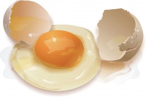 белки яиц