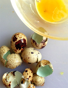 перепелиные яйца для желудка