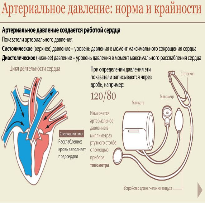 Физика работы сердца. Назовите нормальные показатели артериального давления. Систолическое артериальное давление. Диастолическое артериальное давление норма. Систолическое артериальное давление норма.