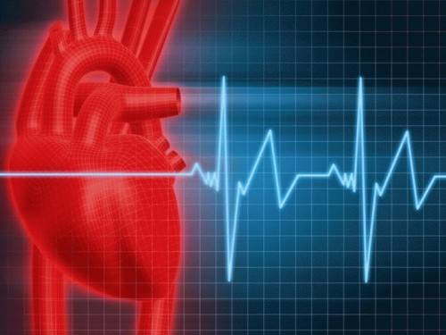Частота сердечных сокращений 