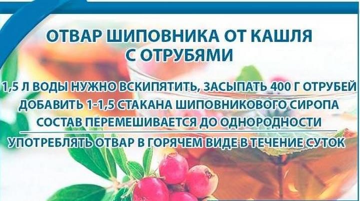 Польза отвара шиповника. Шиповник для кашля. Отвар шиповника противопоказания. Чем полезен отвар шиповника. Шиповник при простуде.