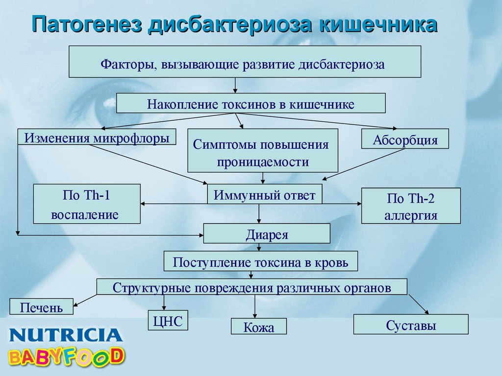 Схема лечения дисбактериоза