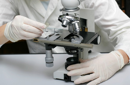 Исследование мокроты также может проводиться под микроскопом