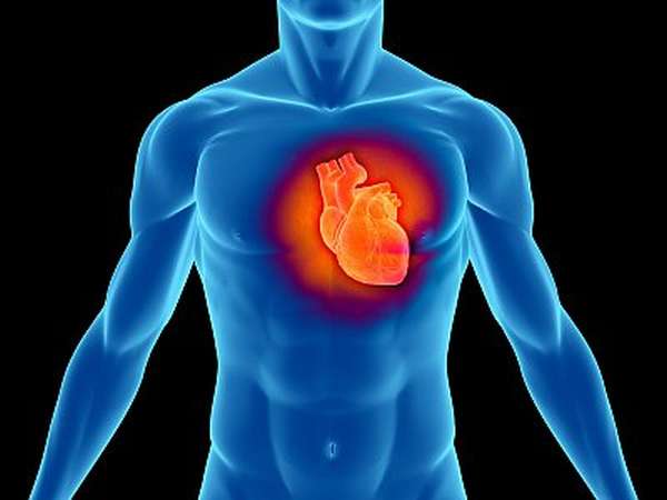 Расположение самого важного органа: с какой стороны сердце у человека