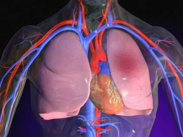 Расположение самого важного органа: с какой стороны сердце у человека