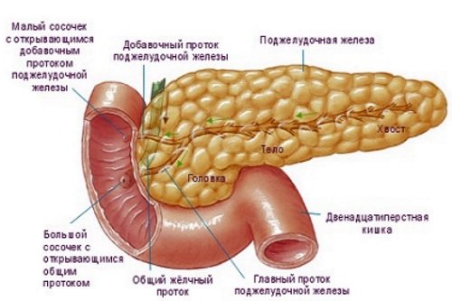 Симптомы поджелудочной железы у мужчин. Симптомы поражения поджелудочной железы. Патология поджелудочной железы симптомы. Поджелудочной железы симптомы проявление болезни.