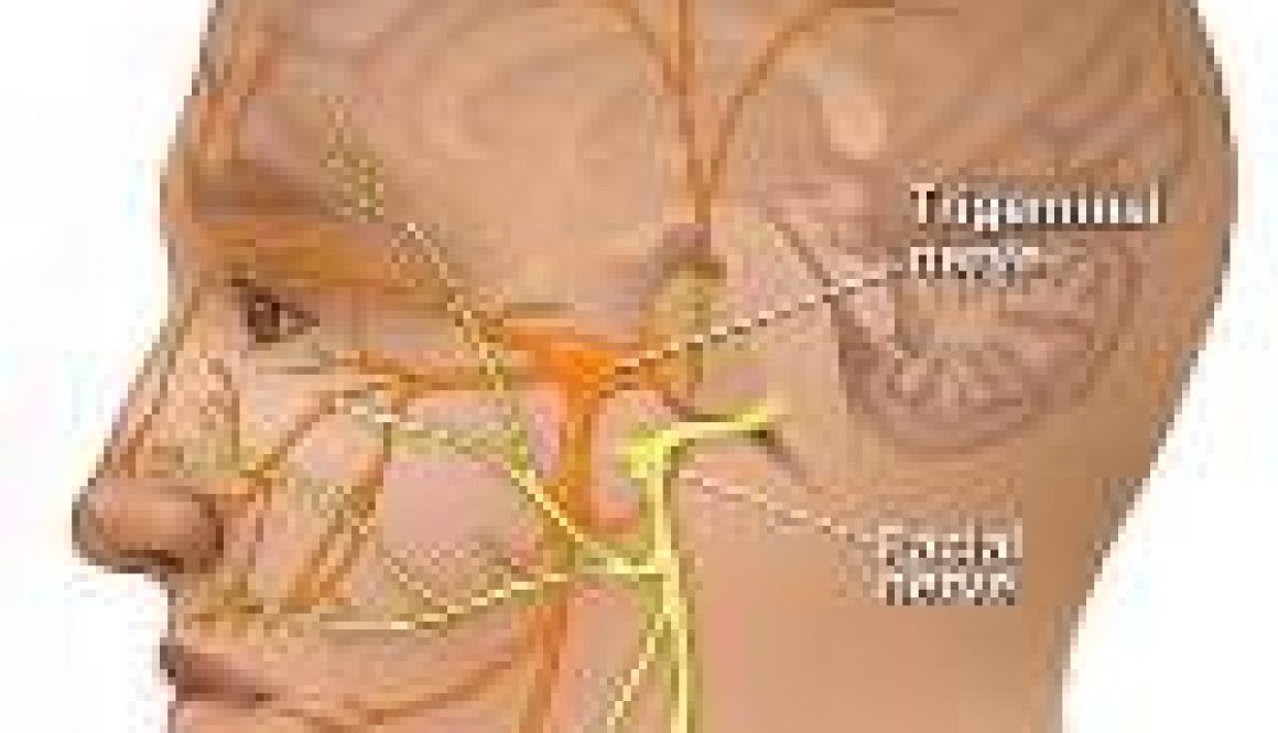 Тройничный нерв справа. Лицевой нерв. Тройничный лицевой нерв. Лицевой нерв и тройничный нерв. Затылочный и тройничный нерв.