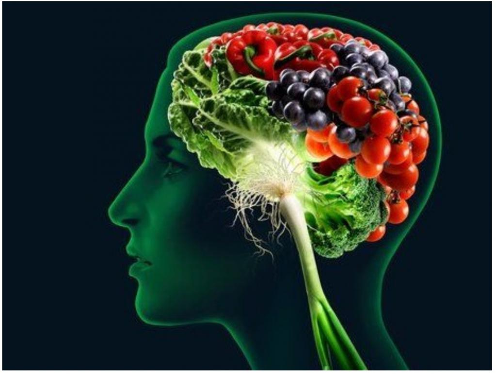 Витамины для сосудов головного мозга