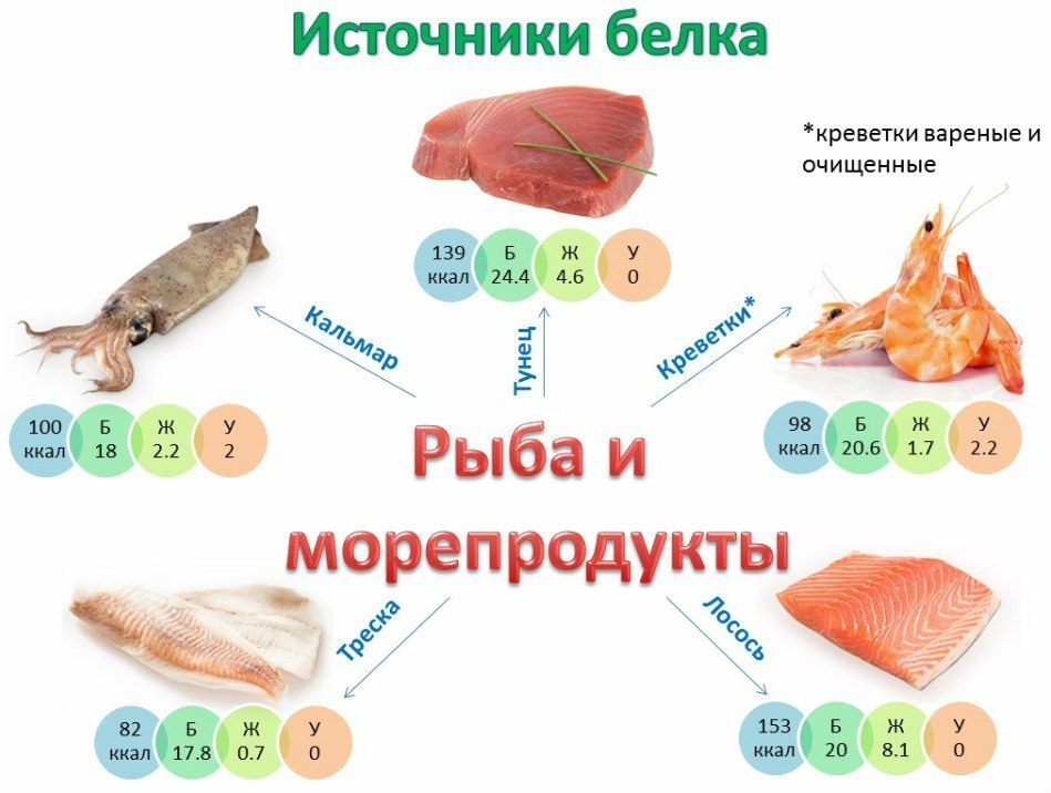 Рыба и морепродукты как источники белков